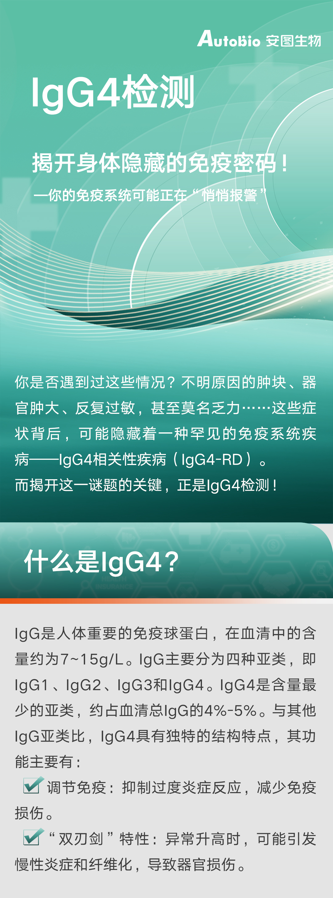 IGG4_01.jpg